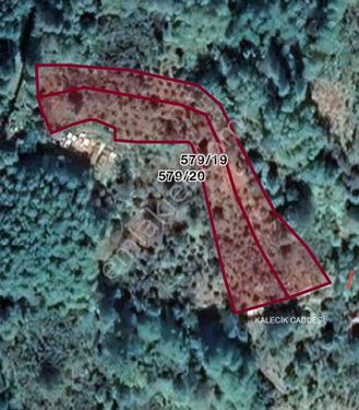 Perşembe kaleyaka mahallesi 4500m fındık bahçesi satılktır 