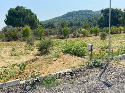  Menderes Çatalca'da Satılık Hobi Bahçeleri Meşe Emlak'tan