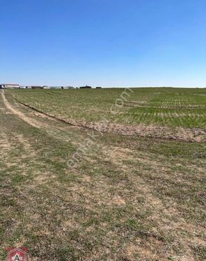 Eskişehir'e 5 km Mesafede Tarla