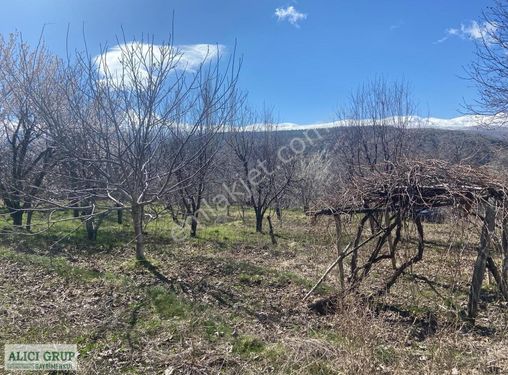 HALKAPINAR BAHÇELİEVLER 2953 M² ÇOK CAZİP EN UYGUN FİYATLI ARSA