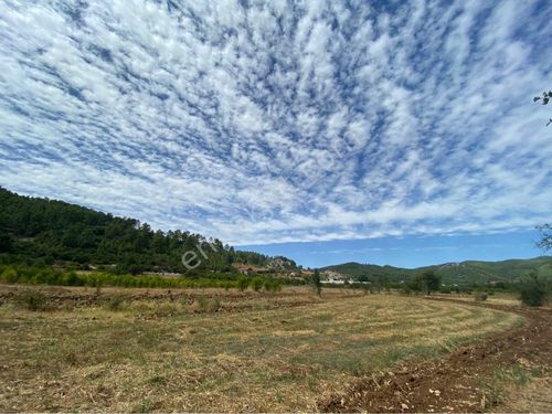ISPARTA SÜTÇÜLER YEŞİLYURT  SATILIK EV VE ARSALAR  📌ÇAKIR EMLAK