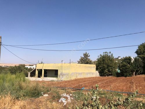  Gaziantep Şahinbey Kurtuluş Köyünde Satılık 2700m2 Arsa