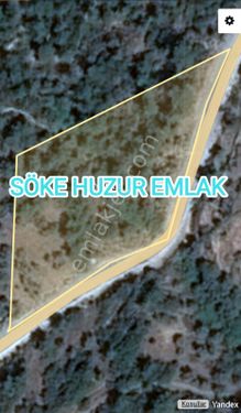  KAYKILLI KÖYÜ SÖKEDE SATILIK FIRSAT ZEYTİNLİK