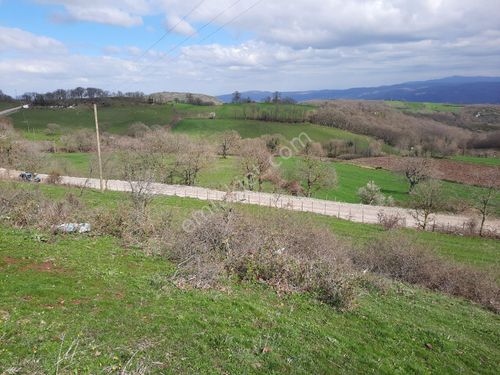 Gönen Kalburcu köyümüz'de 12.900 m² Köy yanı TARLAMIZ Satışta 