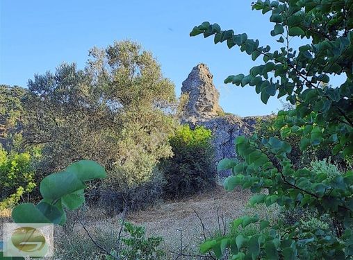 BERGAMA DA İSTER YATIRIMLIK İSTER KONTEYNIRI KOY YAŞA