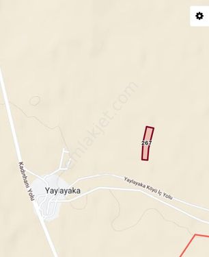 Konya Kadınhanı Yaylayaka Mahallesinde Satılık 6 Dönüm(11.800m2) TARLA