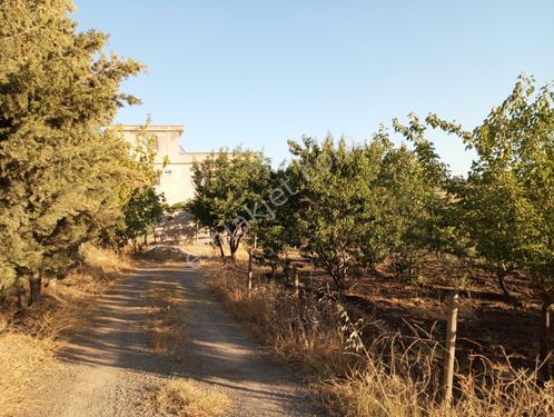 Kahramanmaraş Dulkadiroğlu Elmalar  satılık Kargir bağ evi ve bahçe