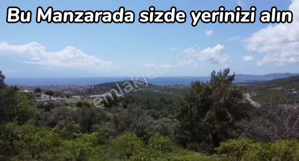 Yetişen alıyor son parseller 250m2 Deniz Ve Doğa manzaralı Kooperatif hissesi 