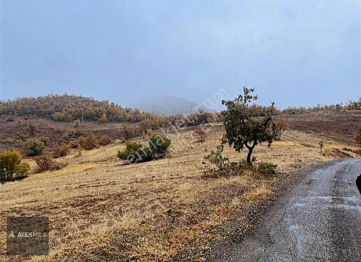 BALDAN KÖYÜ SÜTLÜCE ÜSTÜ SATILIK ARSA ACİLL