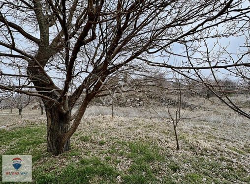 Eğribucağ'ın Zirvesinde satılık manzaralı Villa