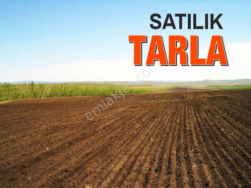  ESKİŞEHİR BEYLİKOVA İKİPINAR KÖYÜNDE 60 DÖNÜM TEK TAPU HAZIR TARLA