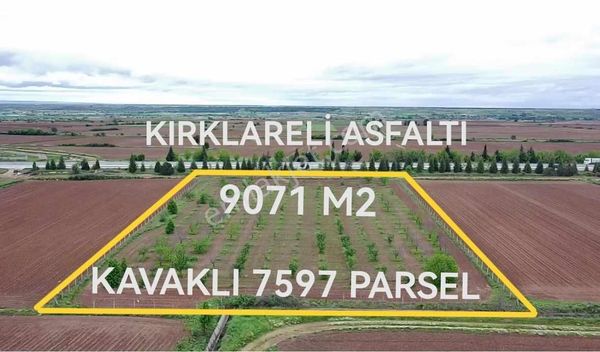  KIRKLARELİ KAVAKLI KORUSU YANI,9071 M2 ASFALTA CEPHE 5.000.000TL