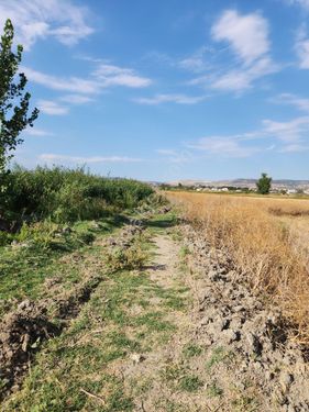 Amasya Suluova Bireylül mahallesinde 4 dönüm müstakil tapulu arazi 