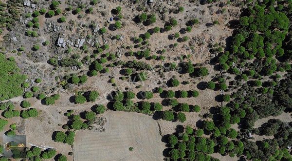 EGE'nin İNCİ'si KOZAK YAYLA'sında YATIRIM'lık arazi