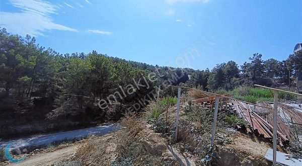 ARAÇ TAKASLI AVSALLARDA FULL AKTİVİTELİ 1+1 DAİRE