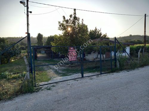 KOZDERE MAH KİRALIK CİFTLİK