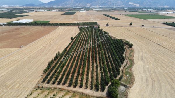  BARANDA GAYRİMENKUL'den Elmalı/Hacımusalar mah. 28.692 m² elma çiftliği