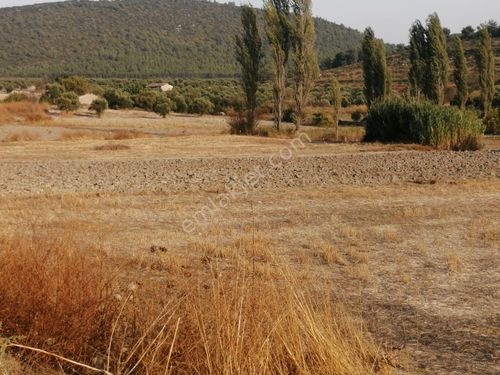 Manisa Saruhanlı Seyitoba'da Satılık, Asfalta Sıfır, Köye 1 Km. Mesafede Yatırımlık Tarla