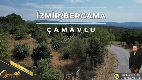 İzmir Bergama Kozak Çamavlu Satılık Manzaralı Çam Fıstıklı Tarla