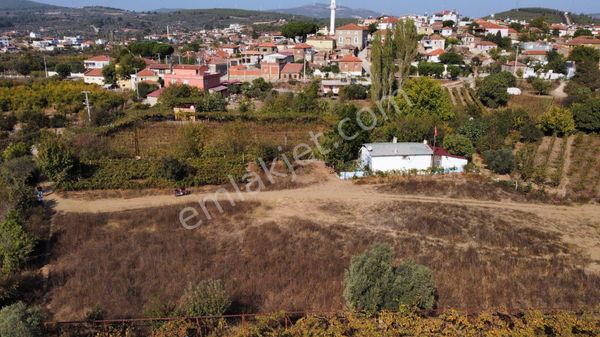 İzmir selçuk gökçealan köy dibinde satılık 2081 m2 bahçe