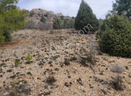  SÖĞÜT ÇALTI KÖYÜNDE TARIMA ELVERİŞLİ 4.282 M2 SATILIK ARSA
