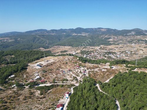  Yakaköy Yol Cepheli Satılık Arsa