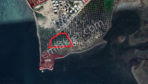  Gömeç Kemalpaşa'da Satılık Denize Sıfır Otel Arazisi