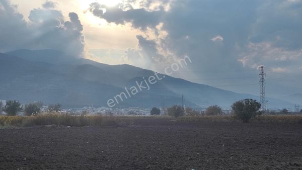 MANİSA ŞEHZADELER NURLUPİNAR MH DE SATILIK TARLA 