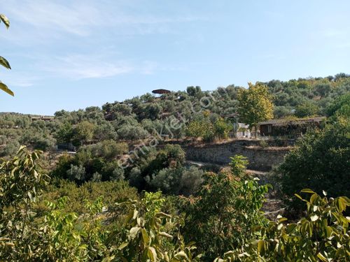  ŞİRİNCE DE FIRSAT İŞ YERİ