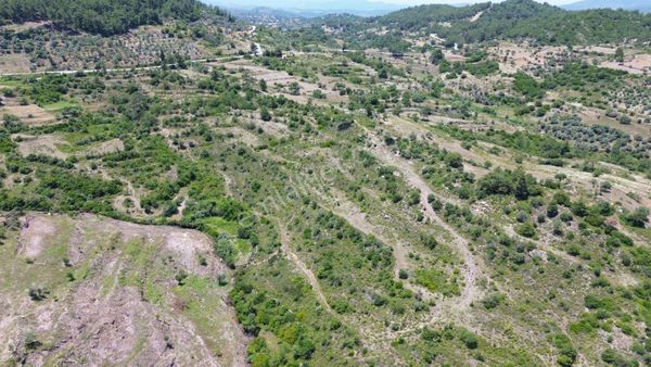 Milas Pınararası Mahallesi Doğa Manzaralı Satılık Arazi