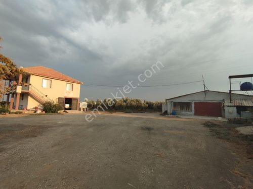 SATİLİK TAVUK ÇİFTLİĞİ 