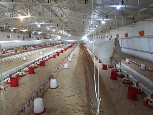 satılık son sistem tavuk çiftliği