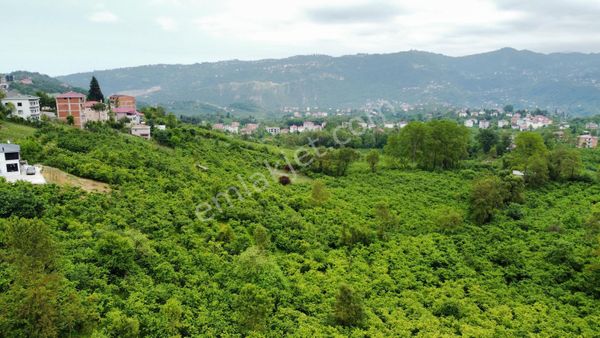  Trabzon Gölçayır Da Satılık 997 M2 Arazi