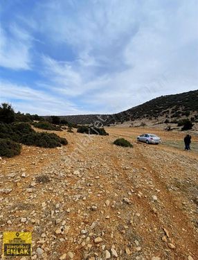 Korkuteli İmrohorda.777.metrekare Acil Satılık Arazi