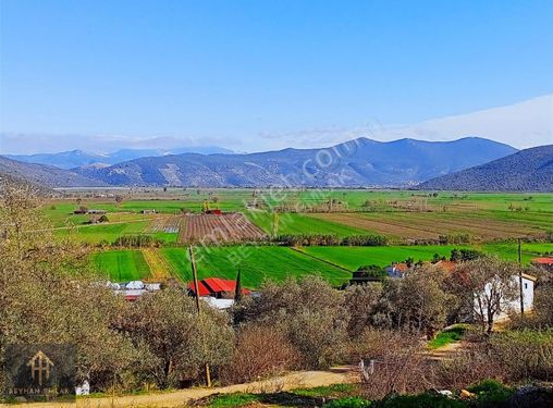 Milas Ovakışlacık Mahallesinde Satılık Zeytinlik Vasıflı Arazı