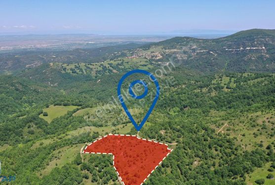 Çanakkale Biga Elmalı'da 16.983 M2 Satılık Tarla