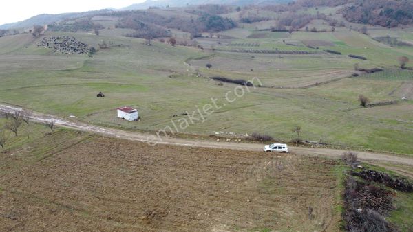  OĞULPAŞA KÖYÜNDE 14.477 M2  KÖY  YANI  ÇİFLİK   ARAZİSİ 