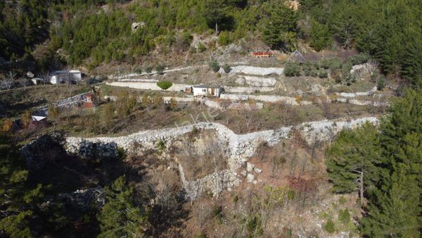 Alanya'nın Bademağacı Bölgesinde 6.540 m²  Satılık  Malikane Arazisi!