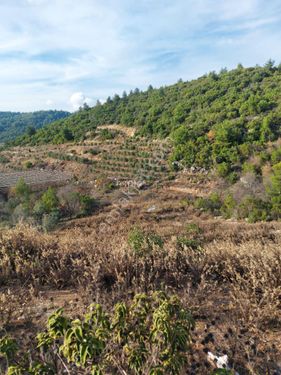 Alanya Kayabaşı mahallesi Satılık Tarla