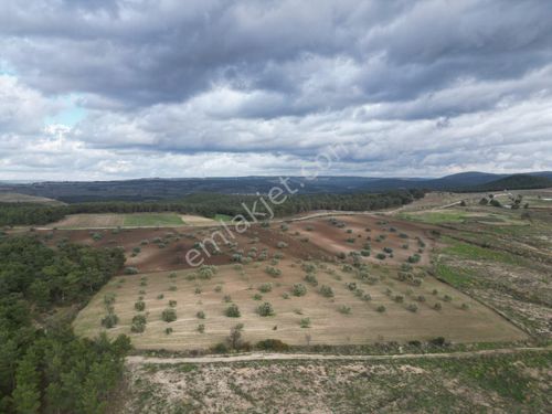 Çanakkale Merkez Gökçalı Köyü 10 dönüm satılık arazi