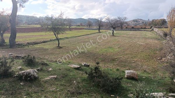  HERA KARYA GAYRİMENKUL'DEN FESLEĞEN KÖYÜN'DE SATILIK TARLA