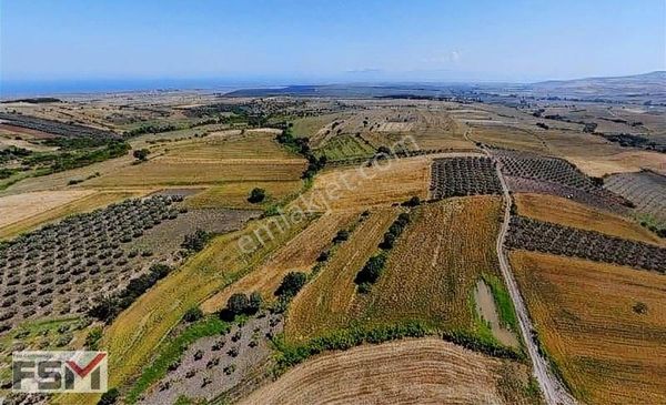 BALIKESİR GÖNEN TURPLUDA YATIRIMLIK TARLA