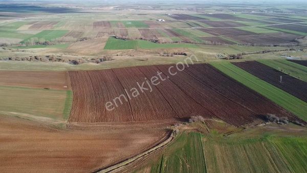 LÜLEBURGAZ EMİRALİDE TEK TAPU 600 M2 TARLA