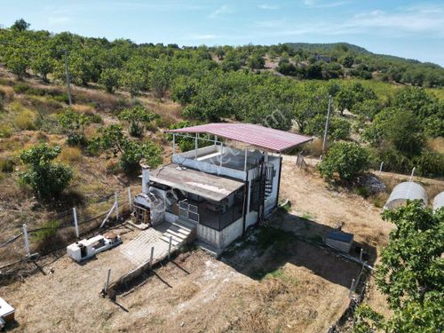 kuşadası  Çınar köyü  10 dönüm arazi  içerisin de çiftlik evi