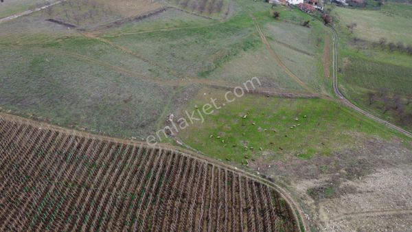  OĞULPAŞA KÖYÜ İÇERİSİNDE MANZARALI 2400 M2 VİLLA İMARLI ARSA !