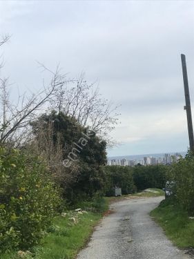 Tece mahallesi deniz manzaralı satılık 7.500metre tarla