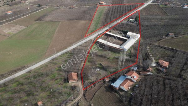  Amasya Merkez Aydınlık Köyü Yolu Üzerinde Satılık Çiftlik Yazlık Bağ Ahır