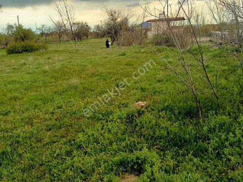 Hacılar Yukarı'da Erciyes Manzaralı 500m2 Temiz Villa Parseli