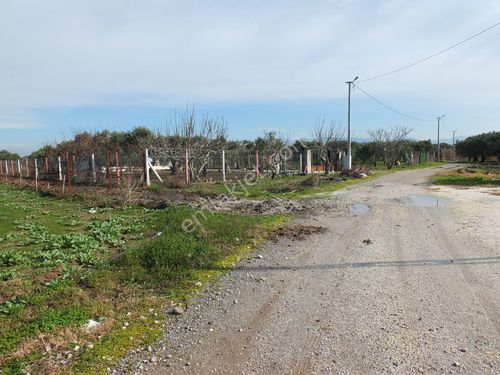  AKHİSAR MEDAR MAHALLESİNDE TOKİ KARŞISI KUPON ARAZİ