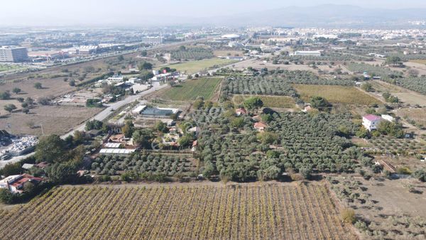  Manisa Yunusemre Evronos 13 Dönüm İmar Bölgesinde Satılık Arazi